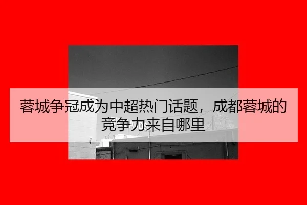 rong-cheng-zheng-guan-cheng-wei-zhong-chao-re-men-hua-ti-cheng-du-rong-cheng-de-jing-zheng-li-lai-zi-na-li-2-581.jpg